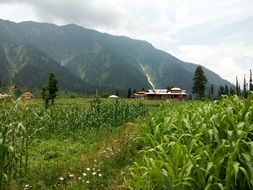 valley with farmland at the foot of the mountains