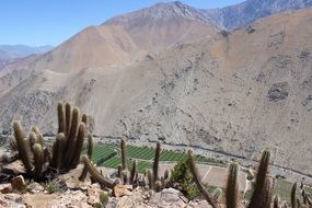 Beautiful distant view of Paihuano village in a valley in Elqui, Chile