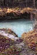 blue water among the colorful plants in a pond in Germany