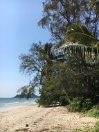 tropical beach on sunny day, thailand, koh chang