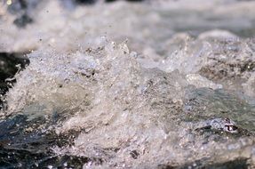 rough water in a mountain river