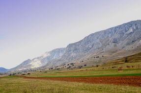green pasture near the mountain
