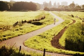 road through polder in holland