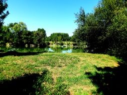 green trees at still water, france, maine-et-loire