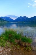 peaceful landscape on the lake