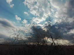 cloudy landscape in a meadow in the countryside