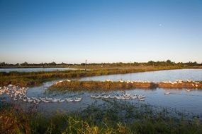 panoramic view of countryside in vietnam