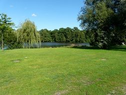 green meadow with trees near the lake