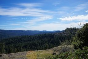panoramic view of the forest in the mountains