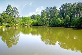 Sky and trees Reflecting on Lake with Green Water