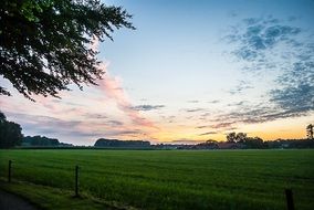 twilight over a green meadow