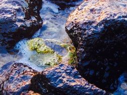 Tide Pool