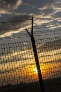 golden sun at sunset through a metal fence and barbed wire