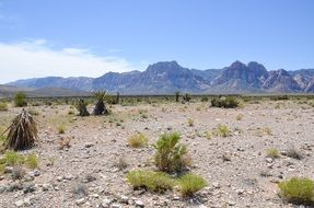 Desert Panorama at Red Rock Canyon National Wildlife Refuge