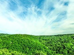 the sky and greenery merge on the horizon