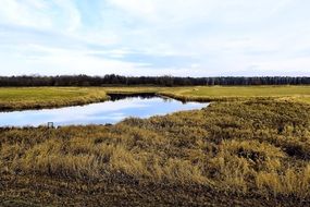 river among gloomy landscape