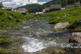 village near brook on alpine meadow, austria, carinthia
