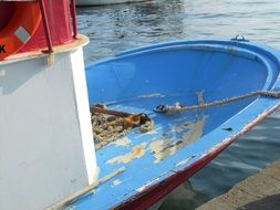 Mediterranean Fish Boat