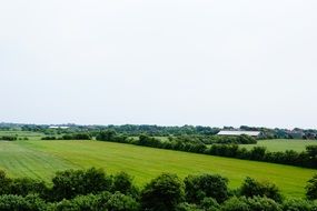 Landscape with the beautiful green meadow with green trees on the horizon