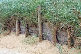 pile fence on the north sea coast
