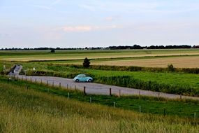High Grass field