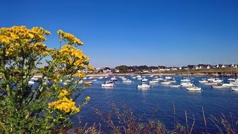 lot of white boats anchored in harbor, france