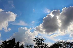 white clouds, bright sun and blue sky above the trees