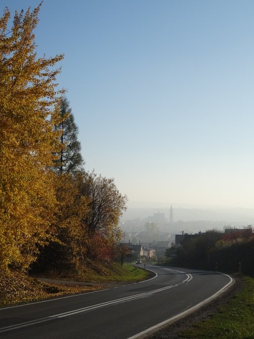 road near autumn trees in poland