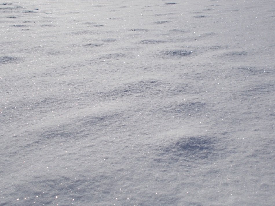 huge layer of snow