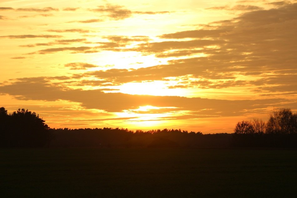 Landscape of Evening sky over the forest