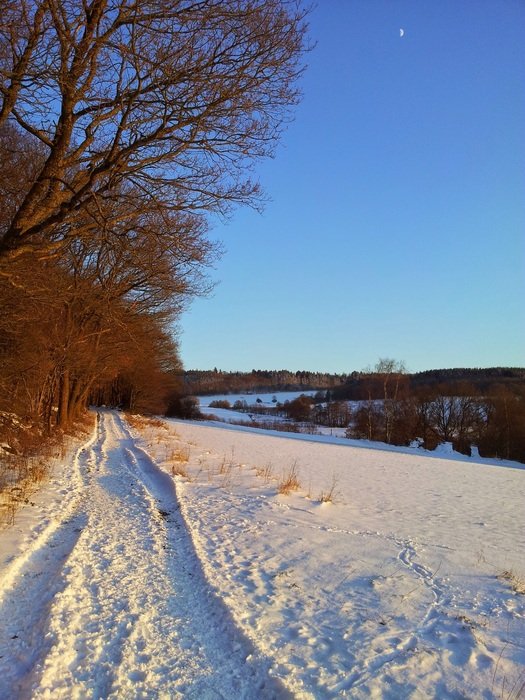 Snowy Westerwald