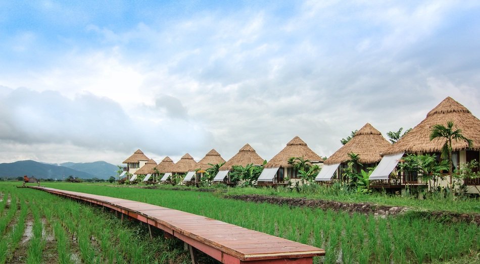 Blue Ridge Mountain in Chiang Mai in Thailand