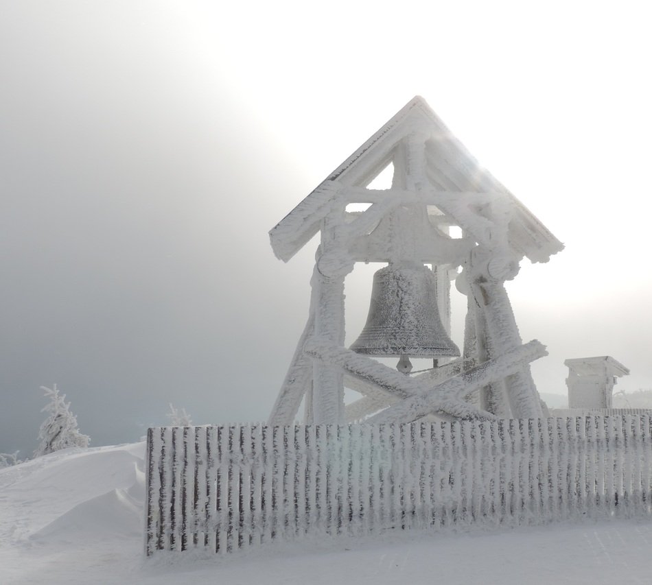 extraordinary Snow bell