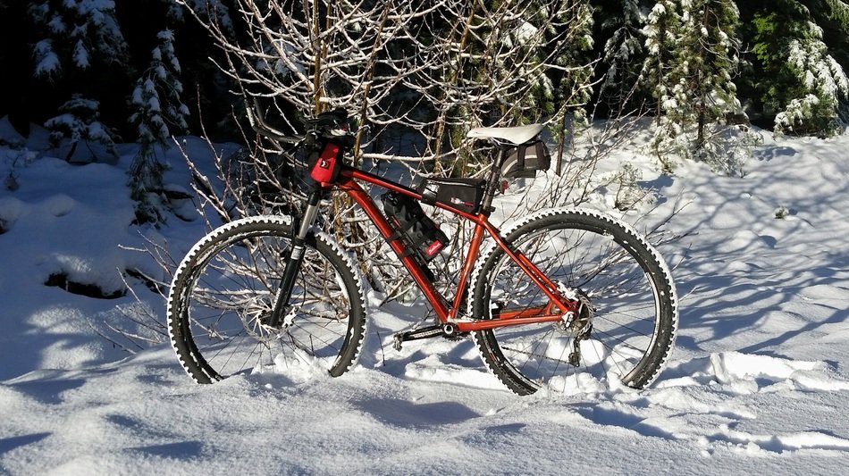 Snow Bike in a forest