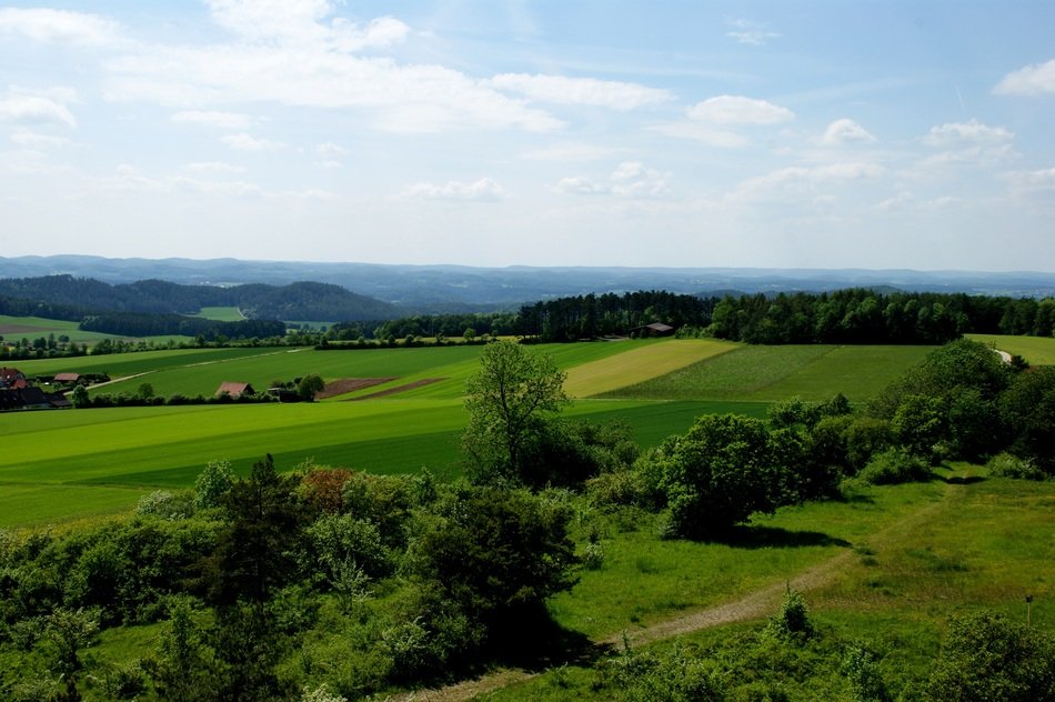 Scenic Pasture