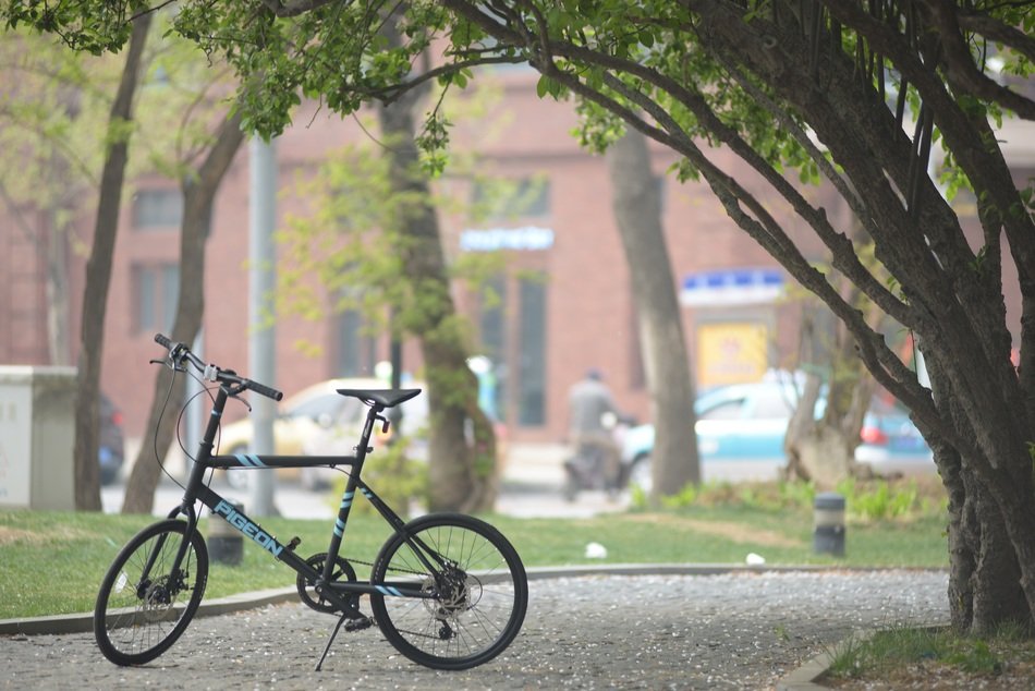 Bicycle stands on walk path beneath tree at brick building in a foggy city