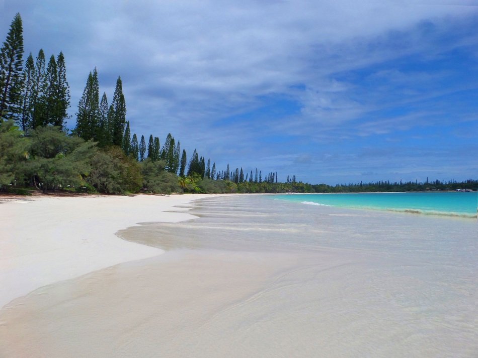 Beach Tropical Island Tropical