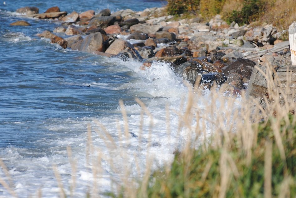 Shore Sea Side Landscape