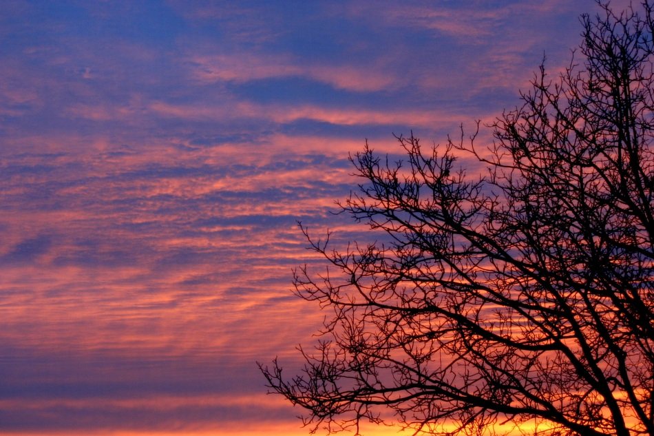Wood Sunrise