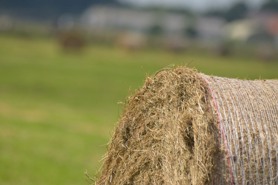 Hay Round Bales