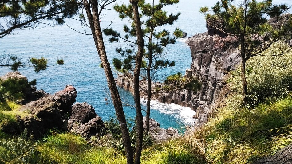 panorama of the picturesque coast of jeju do island