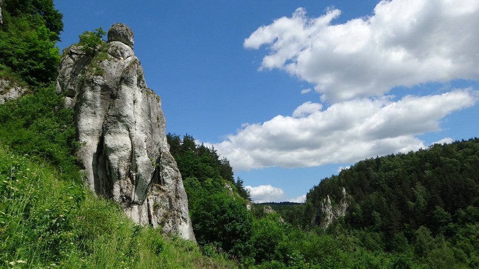 limestone cliffs in green trees in Poland