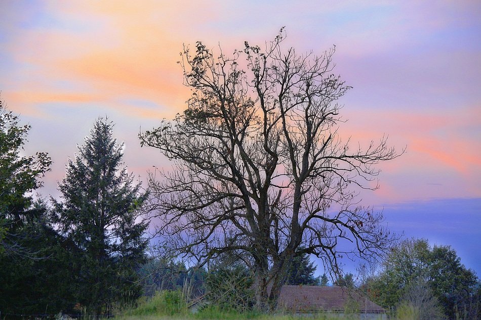 evening sky over the countryside