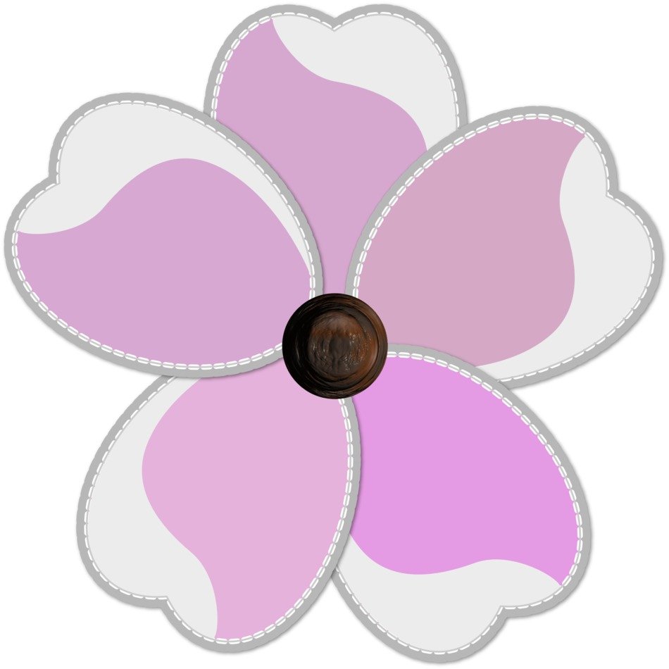 white pink flower