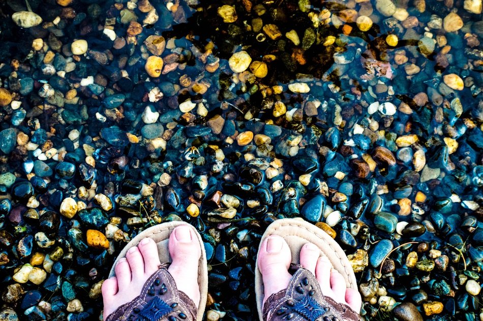Feets on a lake bank