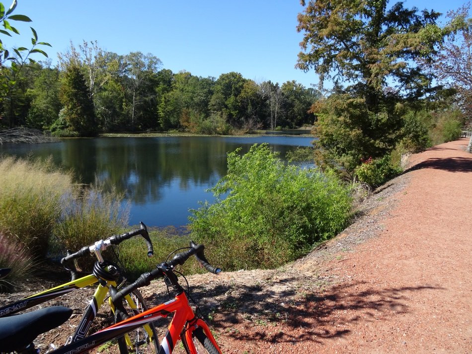 cycling tour along the lake