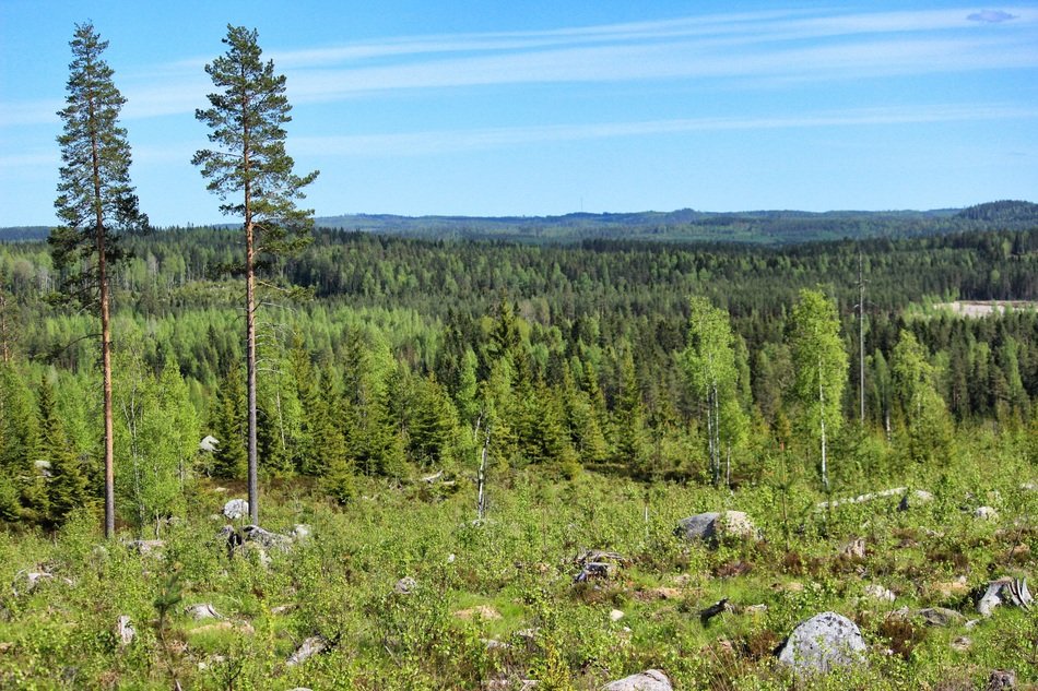 Finnish nature landscape in Scandinavia