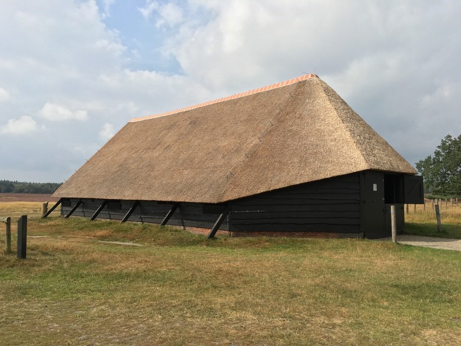 Sheepfold in the countryside