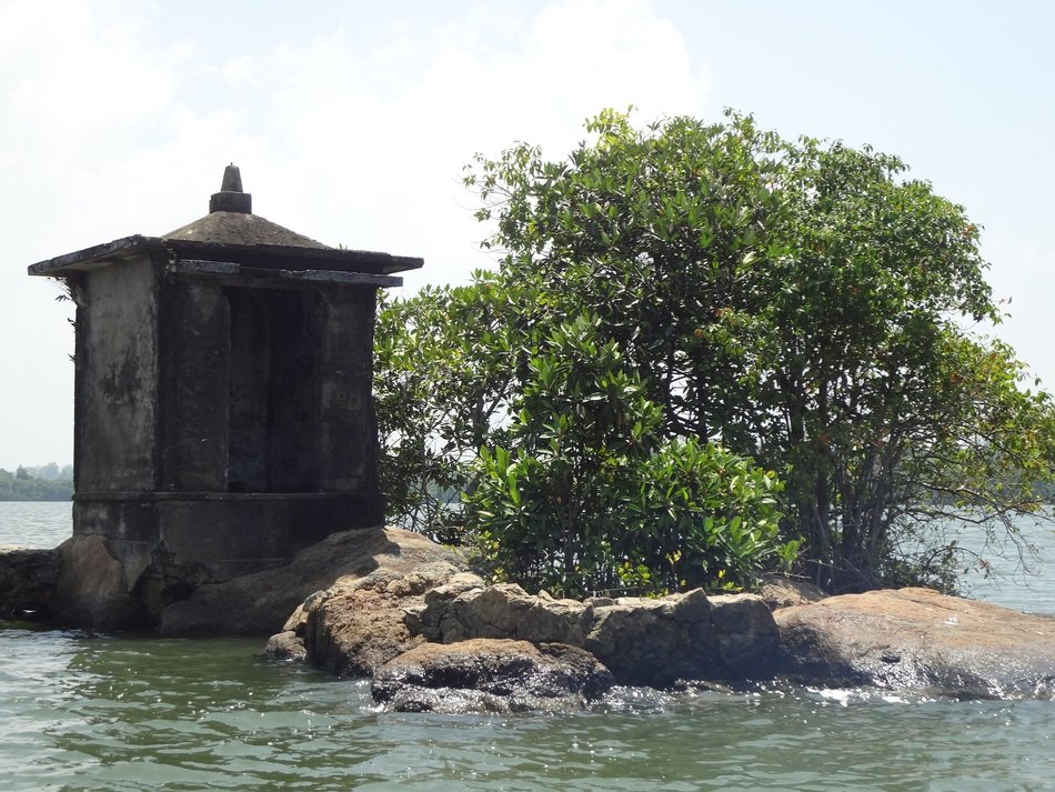 tower near a tree on the river