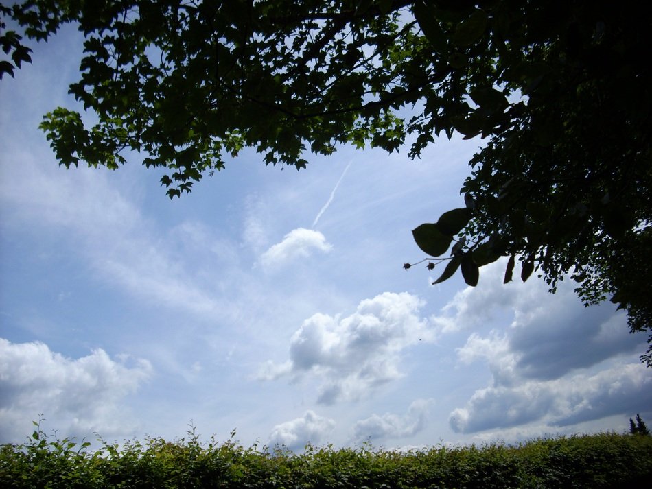 cloudy sky over nature in bad berleburg